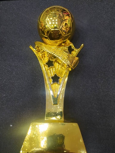 Trophée Meilleur Buteur GM
