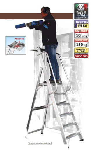 [6046] Echelle pro Alu Pro avec plateforme H3.39m